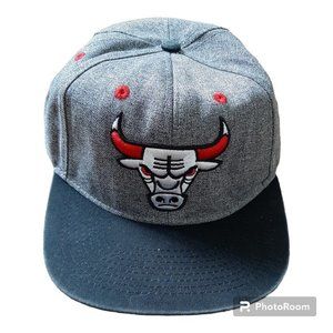 NBA Chicago Bulls Cap, One size fits all, Gray cap with white and red bull